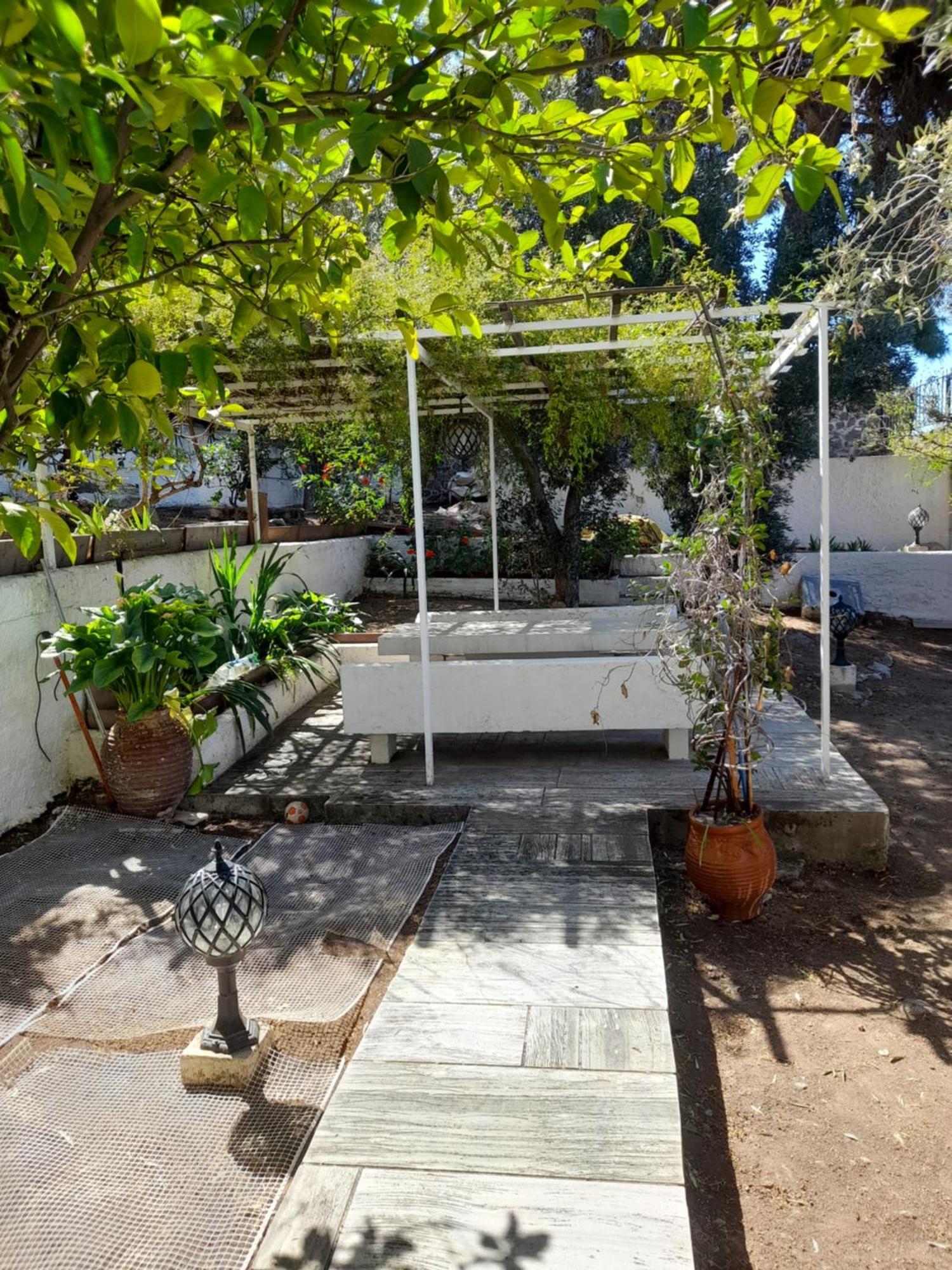 αίγινα Eginitissa